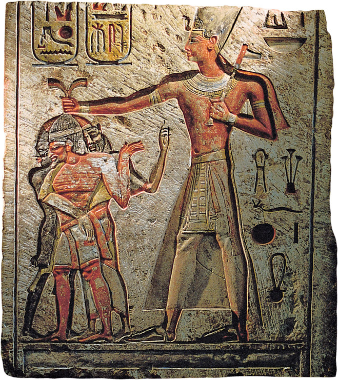 Image 11372 Image 11372 dqxikeidqxidqrant