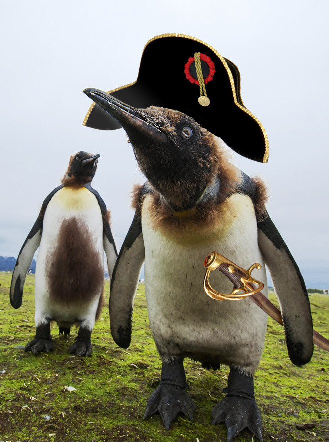 Image 11376 Image 11376