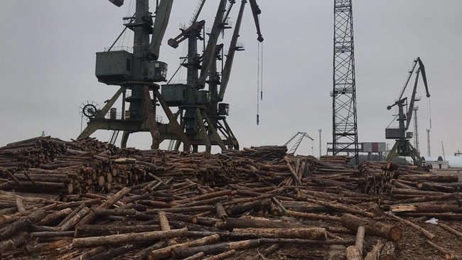 Контрабанда леса идет из порта Рени под видом дров,- Мосийчук 01 Контрабанда леса идет из порта Рени под видом дров,- Мосийчук 01 dqxikeidqxidqrant