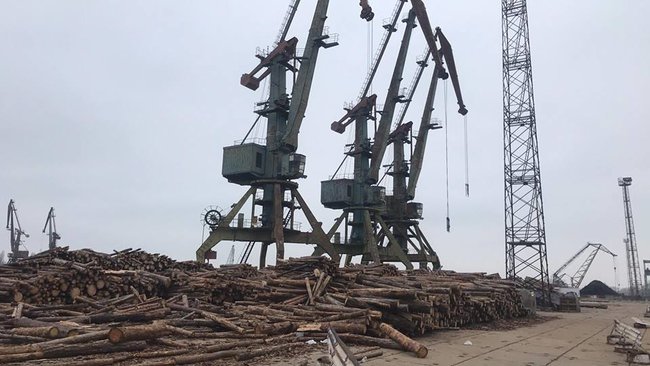 Контрабанда леса идет из порта Рени под видом дров,- Мосийчук 02 Контрабанда леса идет из порта Рени под видом дров,- Мосийчук 02