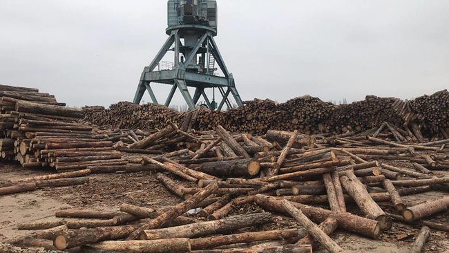 Контрабанда леса идет из порта Рени под видом дров,- Мосийчук 03 Контрабанда леса идет из порта Рени под видом дров,- Мосийчук 03