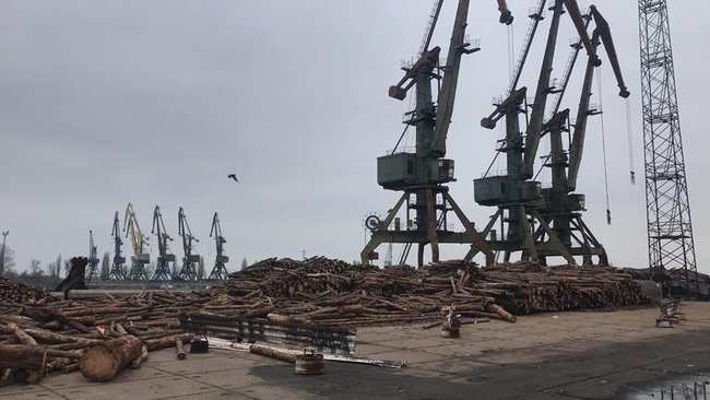 Контрабанда леса идет из порта Рени под видом дров,- Мосийчук 04 Контрабанда леса идет из порта Рени под видом дров,- Мосийчук 04