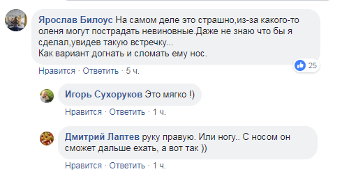 ’’Почувствовал себя бессмертным’’: в Киеве засняли лихого водителя на встречке