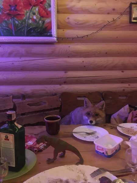   뒒:       .  dqxikeidqxidqrant