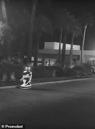 ÐÑÑкоÑил на доÑогÑ: Tesla на авÑопилоÑе Ñбила ÑоÑÑийÑкого ÑобоÑа. Ðидео dqxikeidqxiqzant