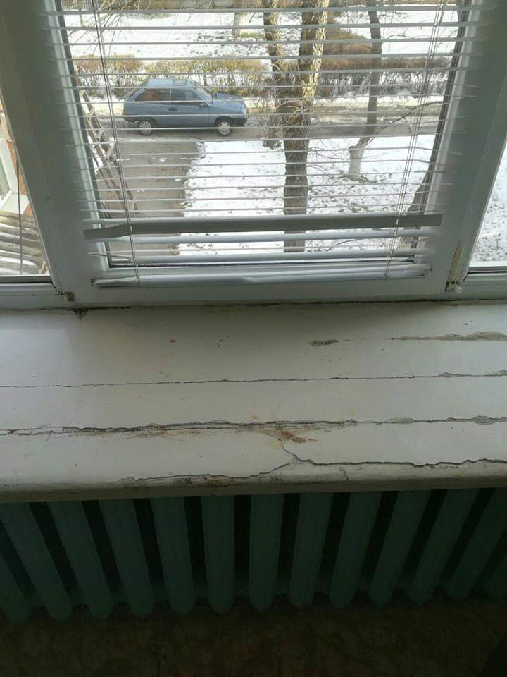 На данном изображении может находиться: растение и на улице