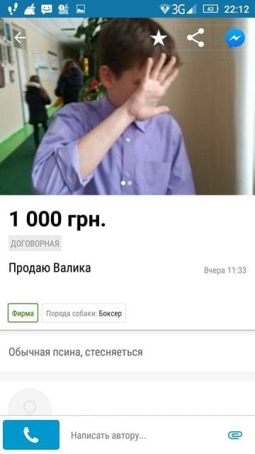 булинг dqxikeidqxidqeant
