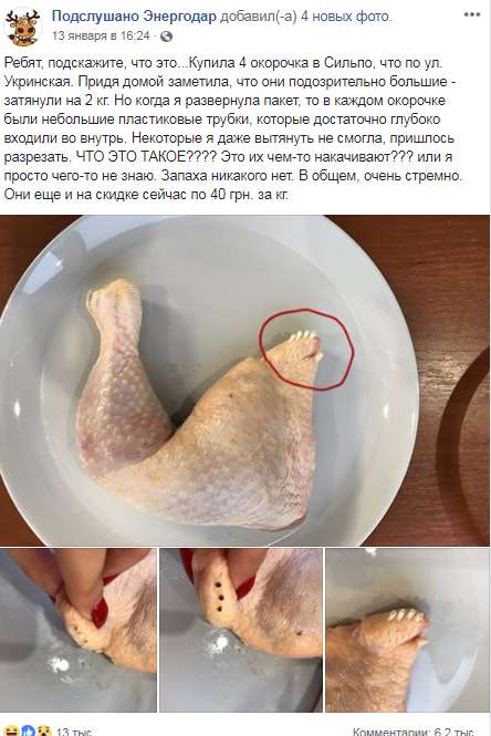 "ÐикÑоÑÐ¸Ð¿Ñ ÐÑÑина": ÑоÑо кÑÑинÑÑ
окоÑоÑков "Ñ ÑÑÑбками" пÑоизвело ÑÑÑÐ¾Ñ ÑÑеди ÑкÑаинÑев dqxikeidqxidqrant