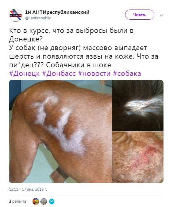 Ð›Ñ‹ÑÐµÑŽÑ‰Ð°Ñ ÑÐ¾Ð±Ð°ÐºÐ° dqxikeidqxiqtuant