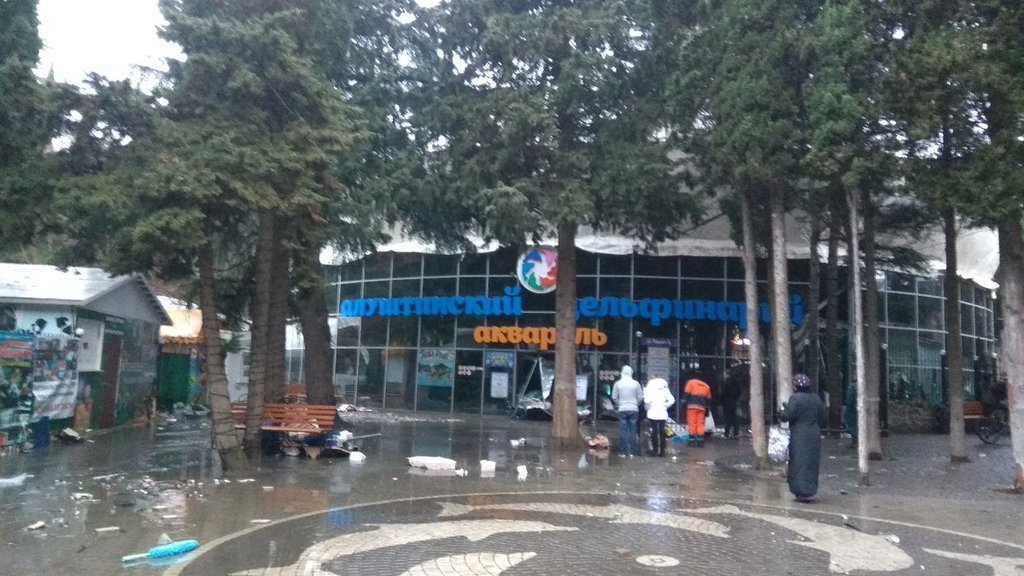 В дельфинарии Крыма лопнул аквариум dqxikeidqxidqrant