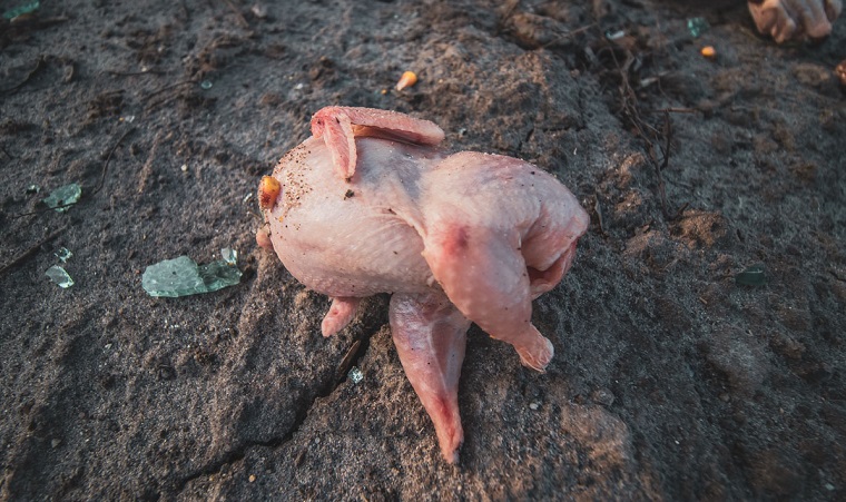 Ðа ÑлиÑе ÐаболоÑного из-за лопнÑвÑего колеÑа пеÑевеÑнÑлÑÑ Ð°Ð²ÑомобилÑ, коÑоÑÑй пеÑевозил ÑÑÑки пеÑепелов. ФоÑо: «Ð?нÑоÑмаÑоÑ»