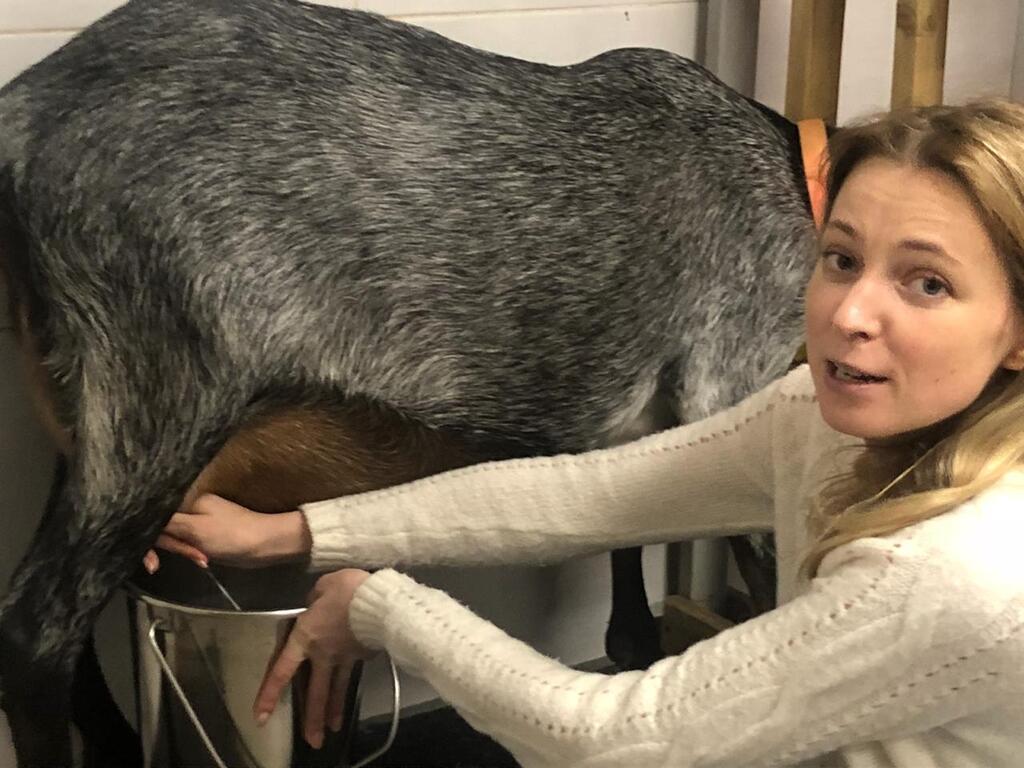   ? -    :  dqxikeidqxidqeant