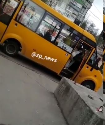 В Запорожье маршрутчик по-хамски вышвырнул пенсионерку из салона: видео инцидента dqxikeidqxidqrant