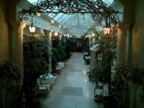 Зимний сад в Межигорье Зимний сад в Межигорье