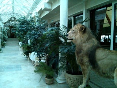 Зимний сад Януковича Зимний сад Януковича