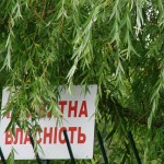 34b86032c729ebaafa5ae6ba1ebd7b75