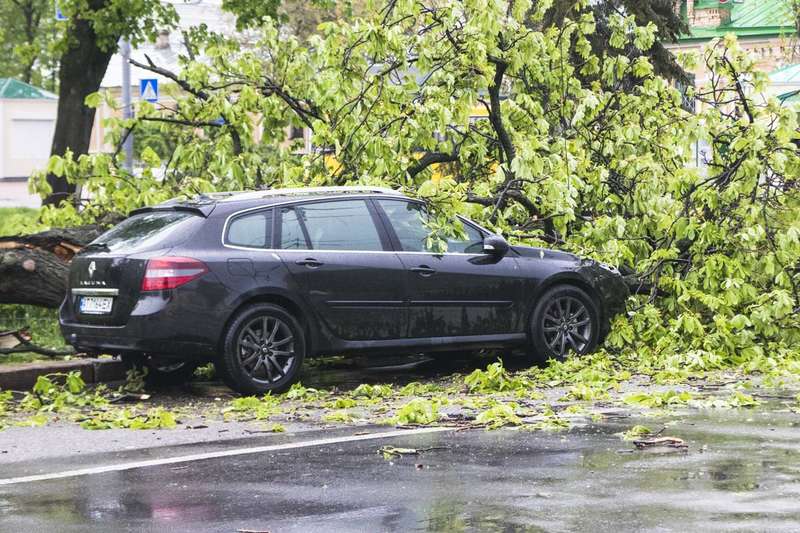         Renault dqxikeidqxidqrant