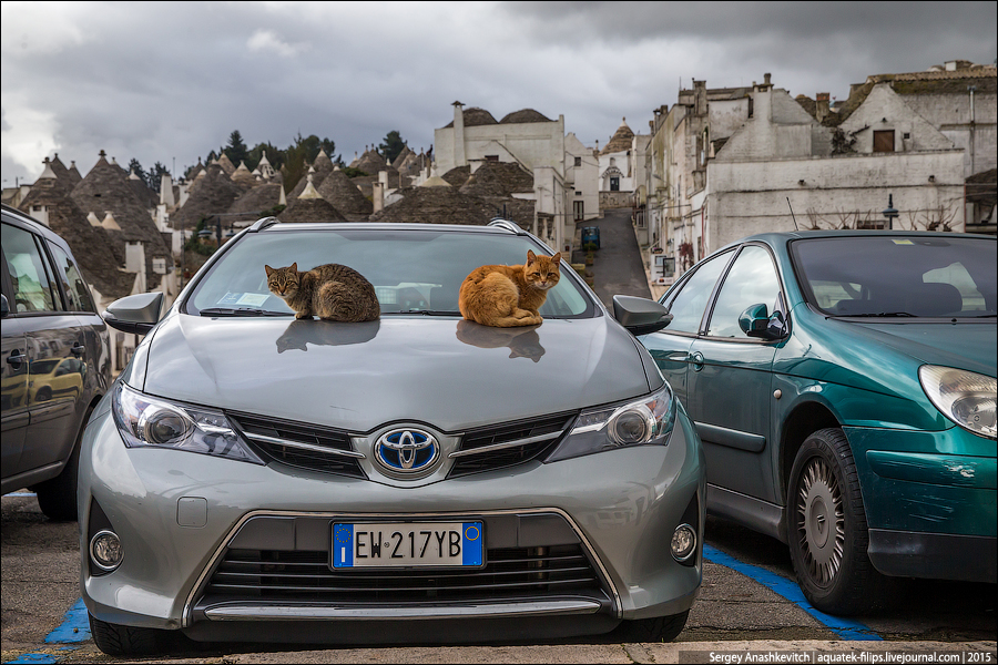 Трулли Альберобелло Трулли Альберобелло