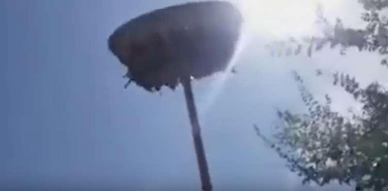       :    dqxikeidqxidqrant