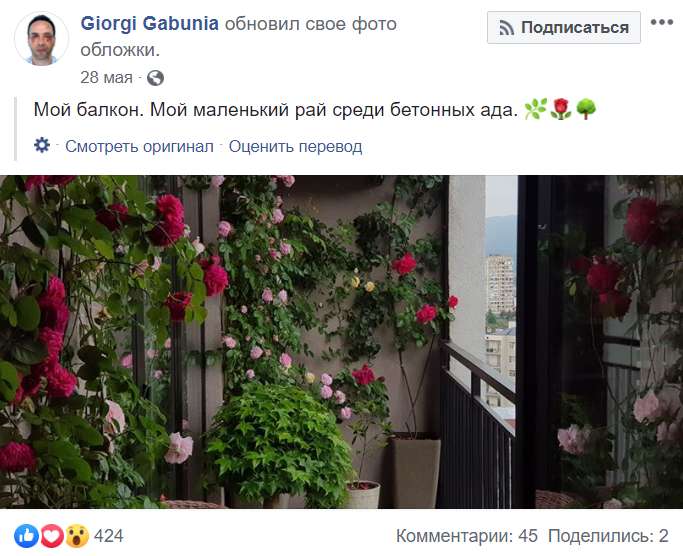"Мой маленький рай": как Георгий Габуния ведет свой Фейсбук dqxikeidqxidqeant