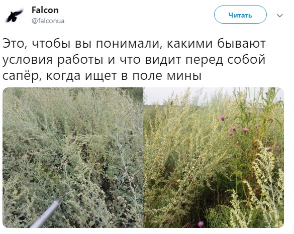 саперы dqxikeidqxidqeant