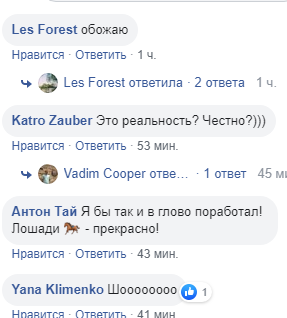 "Думал, что видел все": сеть удивили курьеры на лошади у McDonalds в Киеве