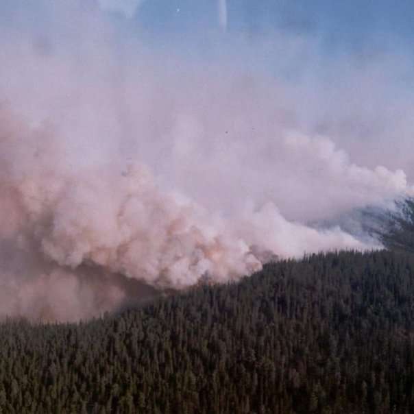 ÐожаÑÑ Ð² СибиÑи dqxikeidqxidqeant