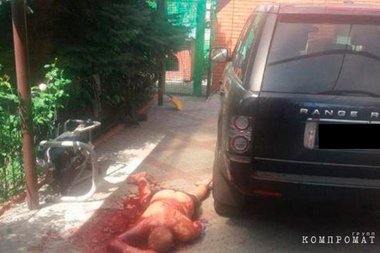 petrik.jpg dqxikeidqxidqrant