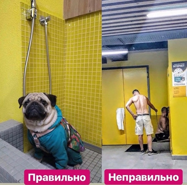    –  dqxikeidqxiqzuant