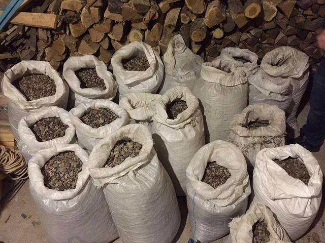 Битва за янтарь. Почему после визита Зеленского добывать камень стали активнее Битва за янтарь. Почему после визита Зеленского добывать камень стали активнее - фото 2 dqxikeidqxidqrant