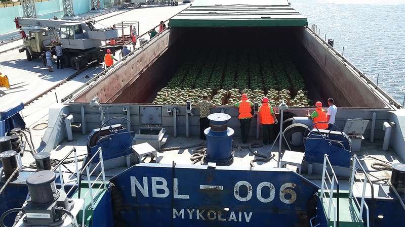 ÐÑ€Ð±ÑƒÐ·Ñ‹ Ð¿Ñ€Ð¸Ð±Ñ‹Ð»Ð¸ Ð¸Ð· Ð¥ÐµÑ€ÑÐ¾Ð½Ð° Ð½Ð° ÐšÐ¸ÐµÐ²Ñ‰Ð¸Ð½Ñƒ. Ð¤Ð¾Ñ‚Ð¾: "ÐÐ¸Ð±ÑƒÐ»Ð¾Ð½" dqxikeidqxiqxxant