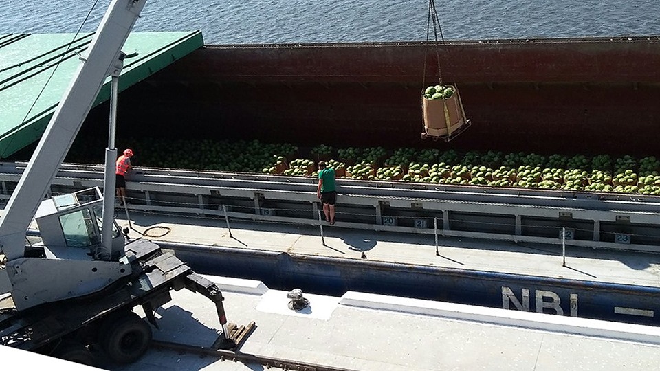 ÐÑ€Ð±ÑƒÐ·Ñ‹ Ð¿Ñ€Ð¸Ð±Ñ‹Ð»Ð¸ Ð¸Ð· Ð¥ÐµÑ€ÑÐ¾Ð½Ð° Ð½Ð° ÐšÐ¸ÐµÐ²Ñ‰Ð¸Ð½Ñƒ. Ð¤Ð¾Ñ‚Ð¾: "ÐÐ¸Ð±ÑƒÐ»Ð¾Ð½"