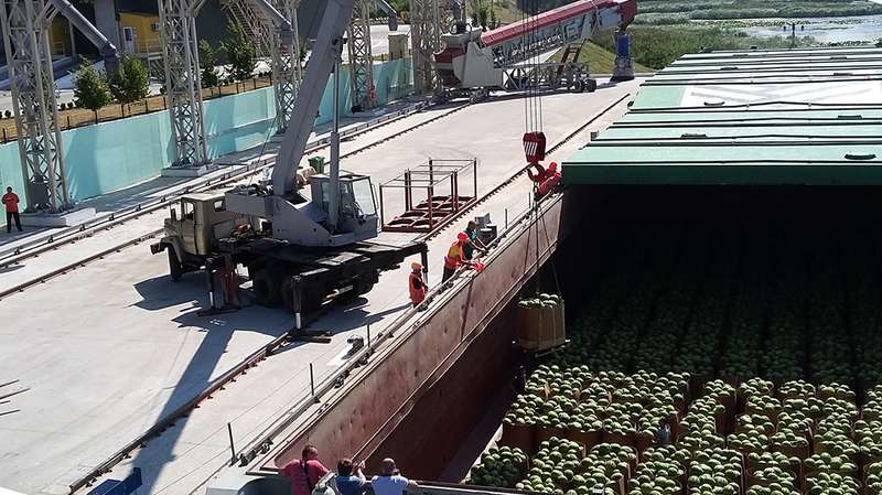 ÐÑ€Ð±ÑƒÐ·Ñ‹ Ð¿Ñ€Ð¸Ð±Ñ‹Ð»Ð¸ Ð¸Ð· Ð¥ÐµÑ€ÑÐ¾Ð½Ð° Ð½Ð° ÐšÐ¸ÐµÐ²Ñ‰Ð¸Ð½Ñƒ. Ð¤Ð¾Ñ‚Ð¾: "ÐÐ¸Ð±ÑƒÐ»Ð¾Ð½"