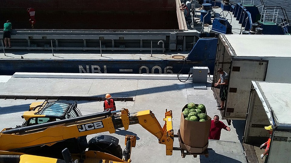 ÐÑ€Ð±ÑƒÐ·Ñ‹ Ð¿Ñ€Ð¸Ð±Ñ‹Ð»Ð¸ Ð¸Ð· Ð¥ÐµÑ€ÑÐ¾Ð½Ð° Ð½Ð° ÐšÐ¸ÐµÐ²Ñ‰Ð¸Ð½Ñƒ. Ð¤Ð¾Ñ‚Ð¾: "ÐÐ¸Ð±ÑƒÐ»Ð¾Ð½"