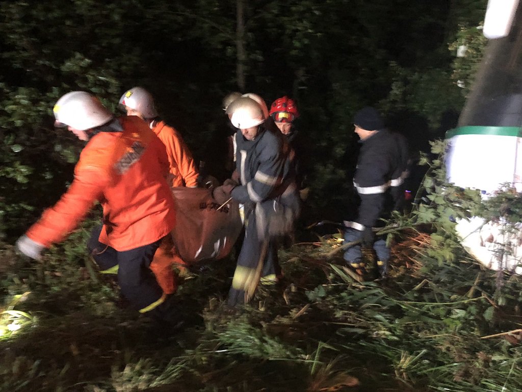 СмеÑÑелÑное ÐТРв ÐиÑомиÑÑкой облаÑÑи