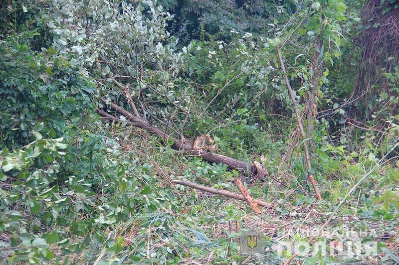 ÐогибÑие в ÐТРпод ÐиÑомиÑом наканÑне жаловалиÑÑ ÐеленÑкомÑ