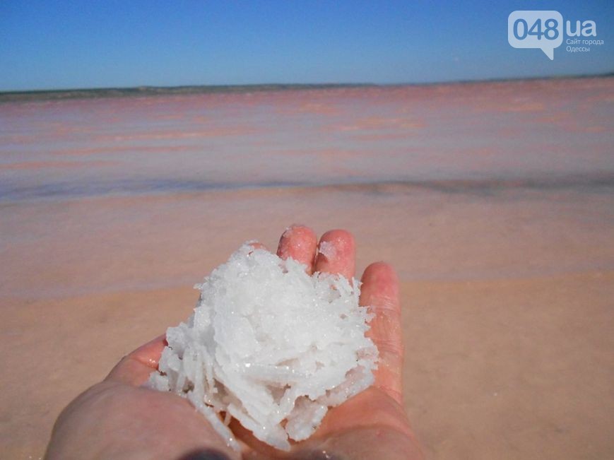 Сергей Гуцалюк – человек, меняющий Одессу: «Победа за нами – вся Украина будет отмечать 600-летие нашего города» (фото) - фото 2