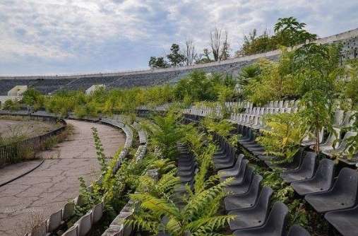 " ":       dqxikeidqxidqeant