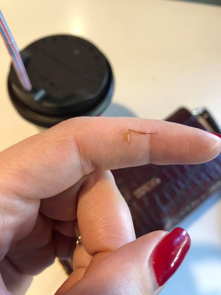 Таракан в Domino’s Pizza dqxikeidqxidqrant