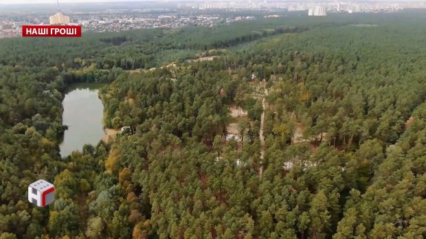 Зелена зона