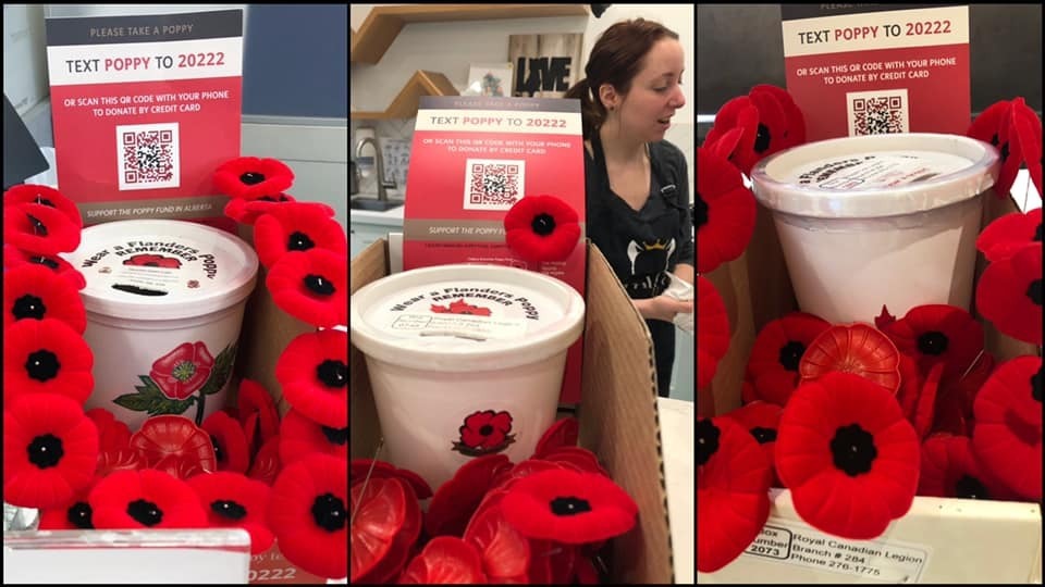 Вот почему георгиевская ленточка стала символом победобесия в России dqxikeidqxidqeant