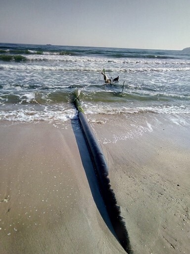 В Феодосии фекалии сливают в море dqxikeidqxidqrant