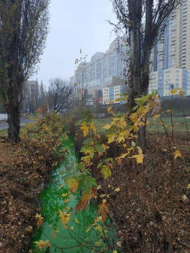 дарница dqxikeidqxidqeant