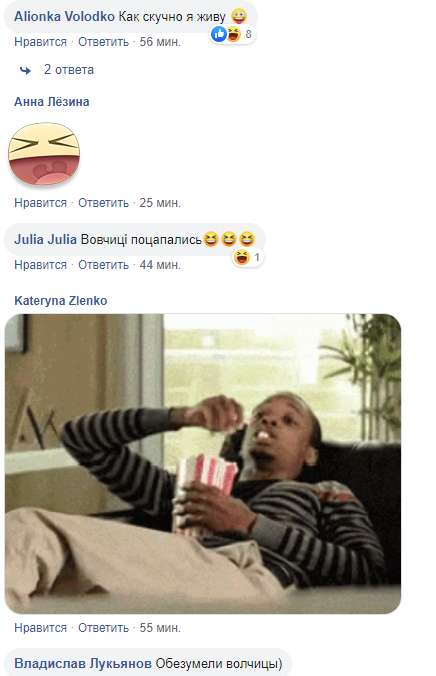 "Обезумели волчицы!" Фанатки сцепились из-за Винника: эпичный момент попал на видео