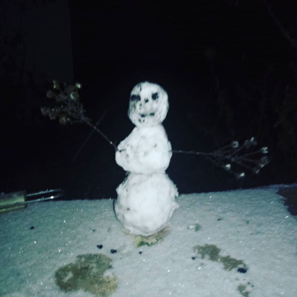 В Киеве выпал первый зимний снег