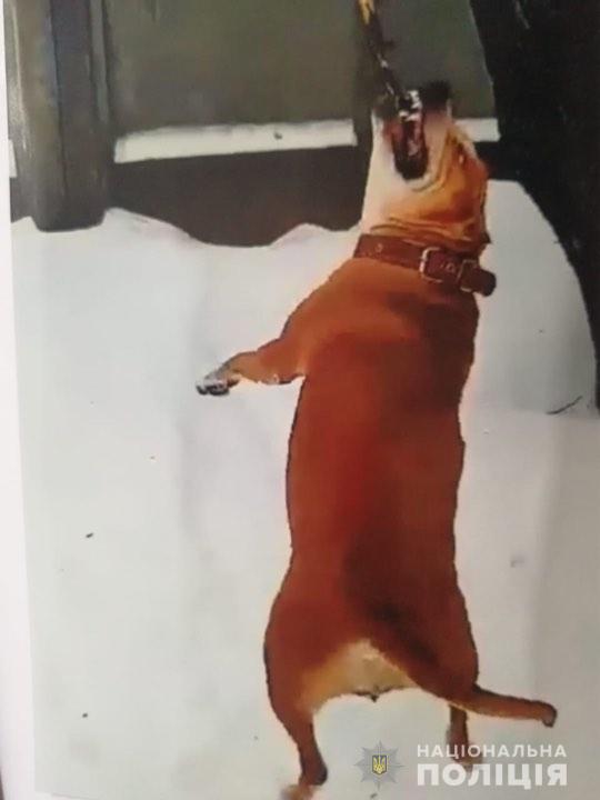 ,       dqxikeidqxirzant