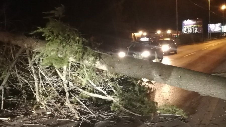 Протестующие перекрыли дорогу dqxikeidqxidqeant