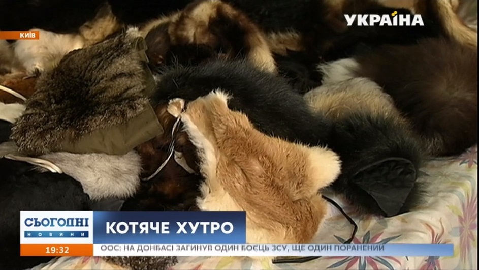 На столичном рынке обнаружили мех, похожий на кошачий. Скриншот: segodnya.ua dqxikeidqxidqrant