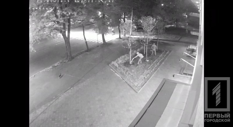   :        dqxikeidqxiqexant