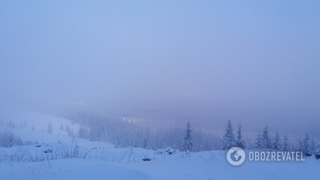 Прикарпатье завалило 1,2 м снега: детали апокалипсиса